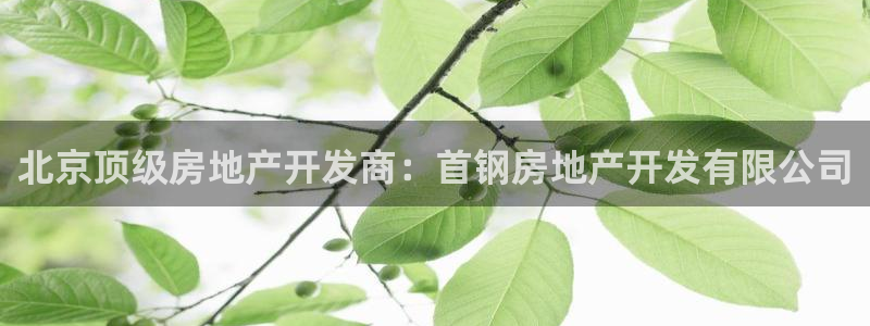 万能娱乐平台直招代理