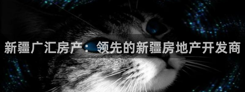 万向娱乐官网下载安卓