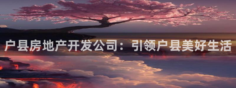 万向娱乐挂机软件