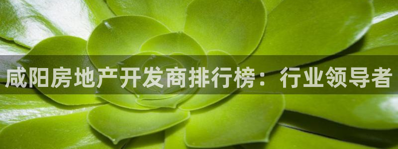 万向娱乐官网下载