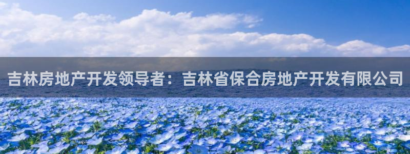 万向娱乐挂机