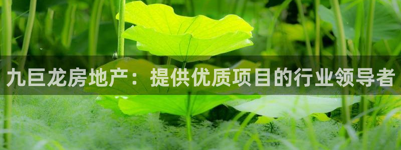 万向娱乐挂机
