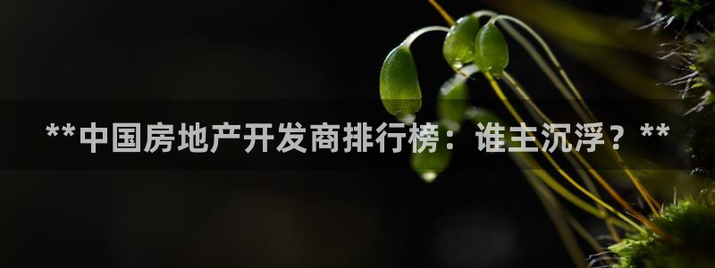 万向娱乐平台怎么下载