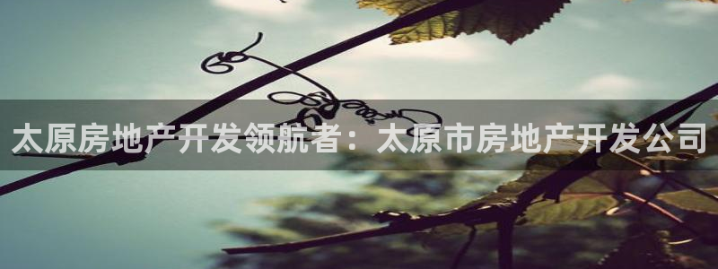 万向娱乐app下载苹果版