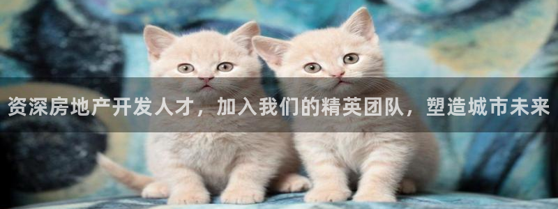 万向娱乐代理好看视频是真的吗