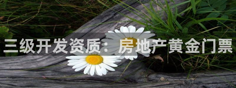 万向娱乐挂机软件