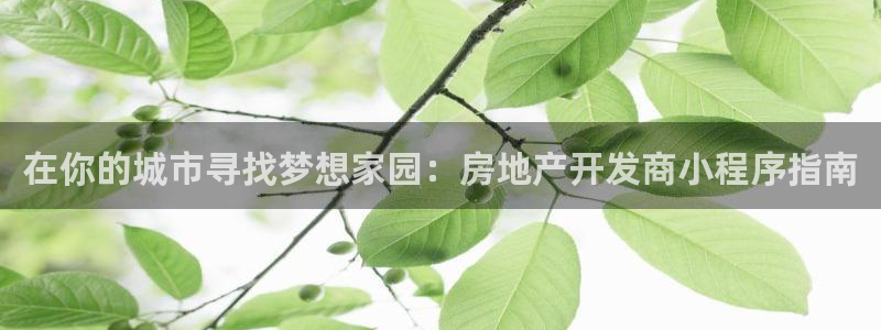 万向娱乐怎么样
