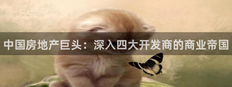 万向娱乐app下载苹果版