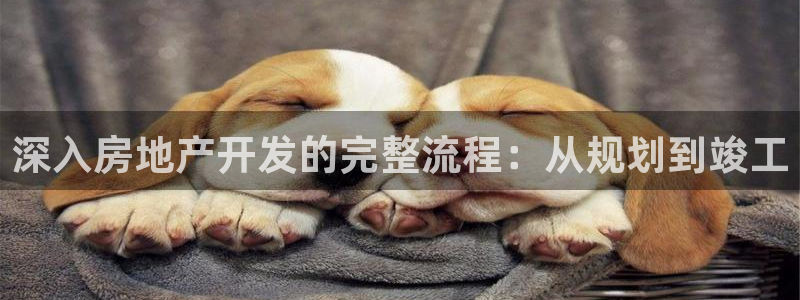 万向娱乐官网网址是多少