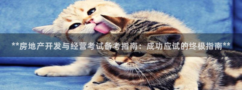 万象国际娱乐网址