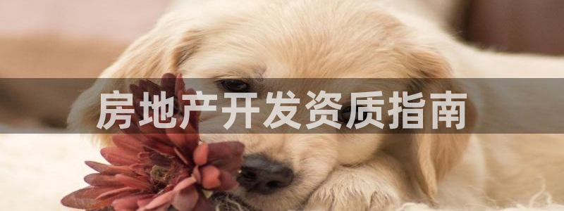 万向娱乐官网下载安装最新版