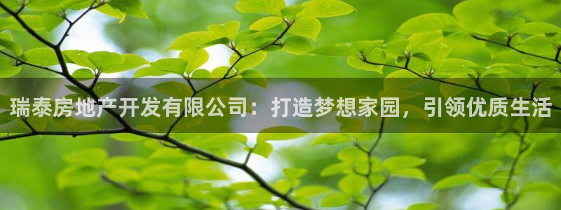 万向娱乐平台代理怎么做
