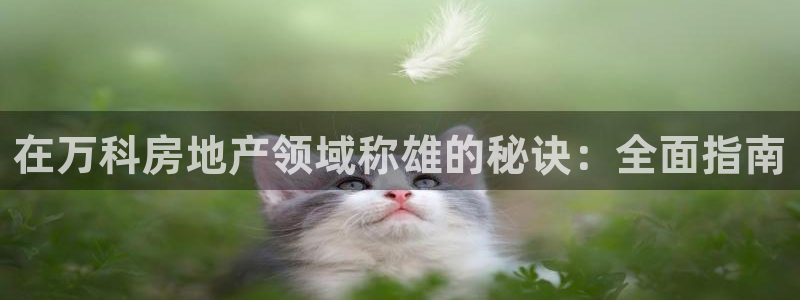 万向娱乐平台代理怎么样啊