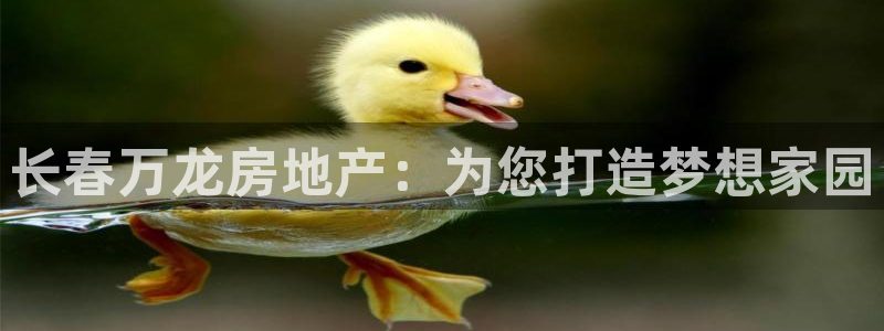 万向娱乐平台代理多少钱一个月
