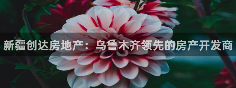 万向娱乐公司官网首页
