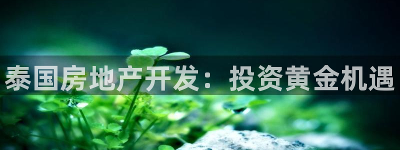 万向娱乐app下载安装
