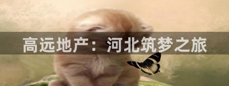 万向娱乐官网网址