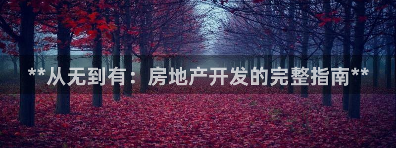 万向娱乐灯333OO