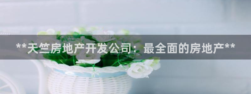万向娱乐登陆官网