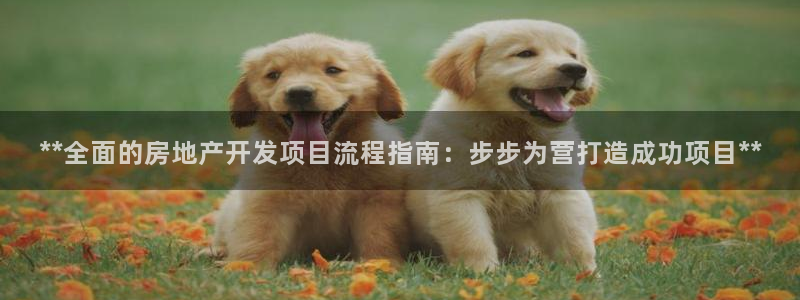 万向娱乐官网下载安装手机版