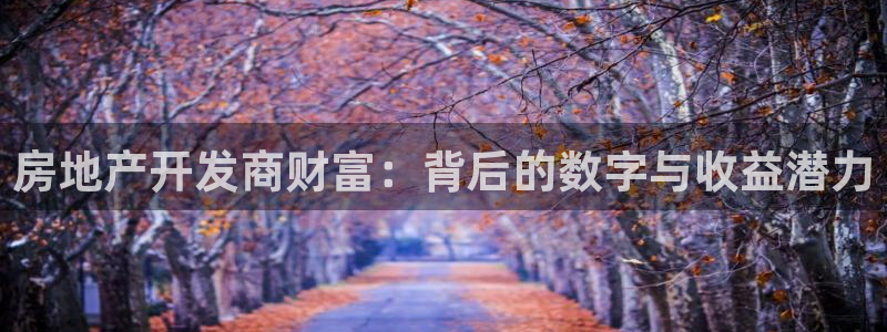 万向娱乐总代