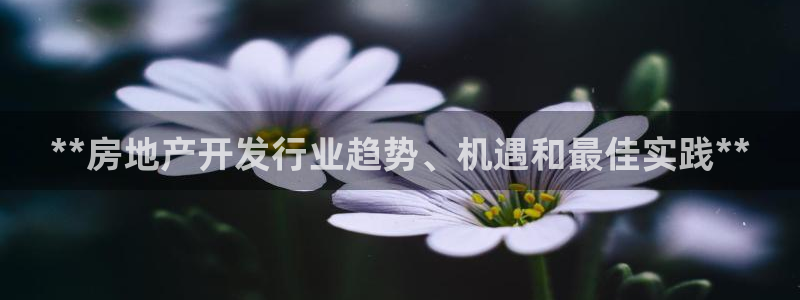 万向娱乐代理好看视频