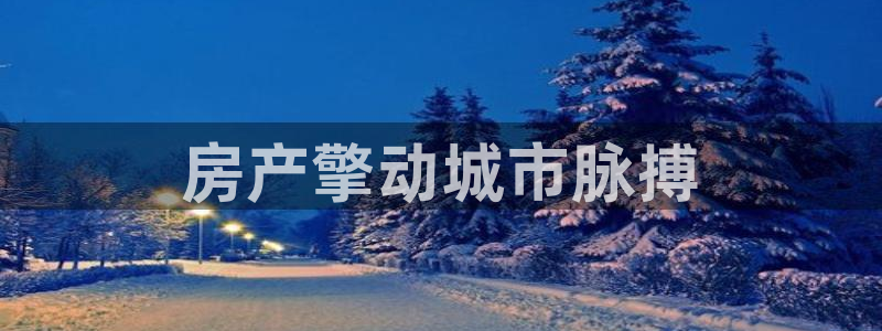 万向娱乐是野鸡台吗