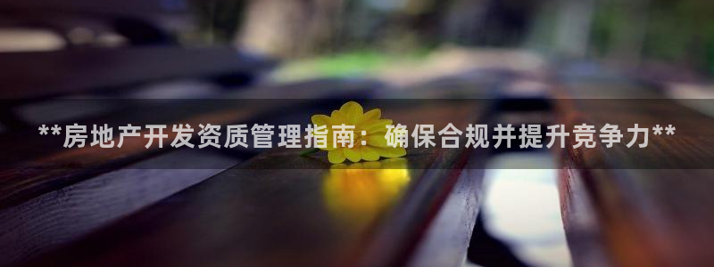 万向娱乐公司 585.34I 娱乐