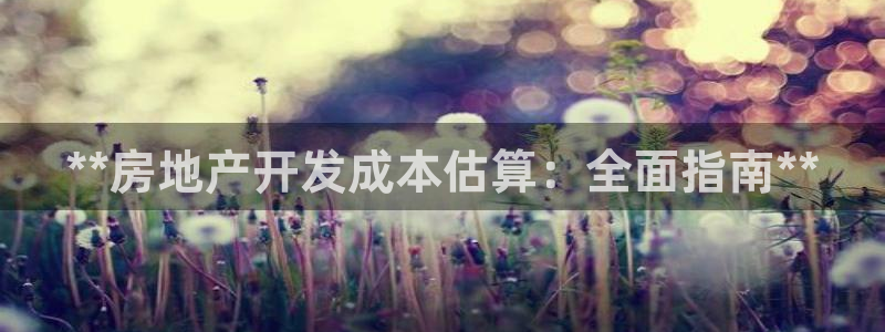 万向娱乐灯333OO