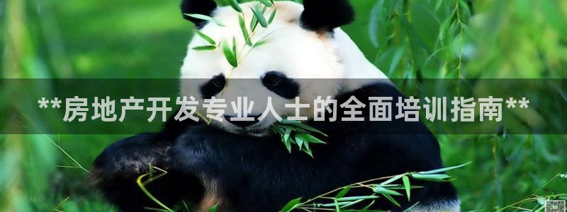 万向娱乐公司 585.34I 娱乐