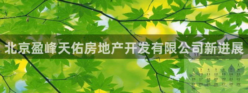 万向娱乐的494o3 主管