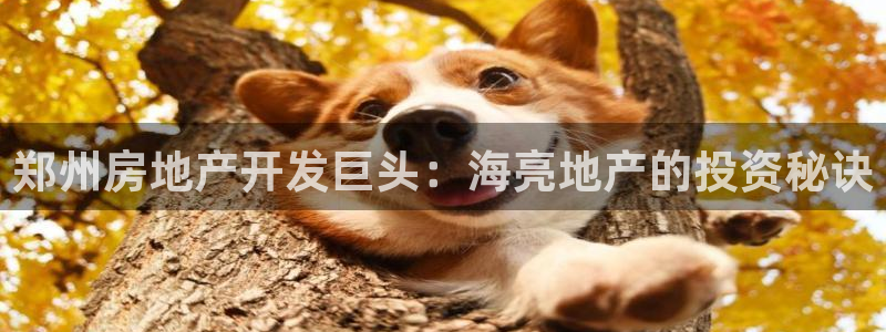 万向娱乐的联系方式