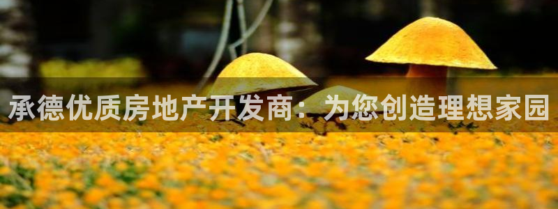 万向娱乐挂机软件