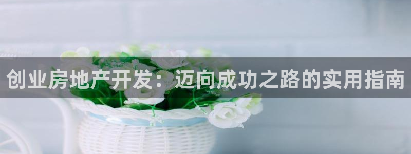 万向娱乐老板