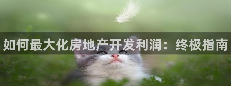 万向娱乐官网下载安装手机版