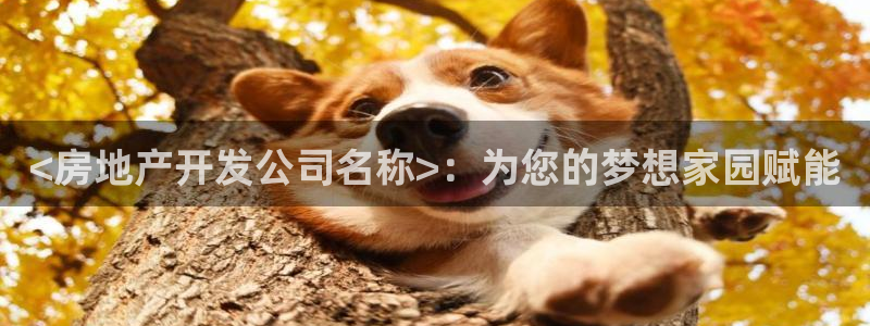 万向娱乐怎么样