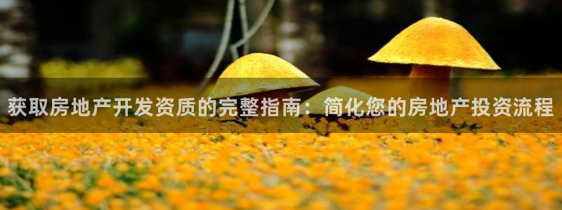 万向娱乐是野鸡台吗