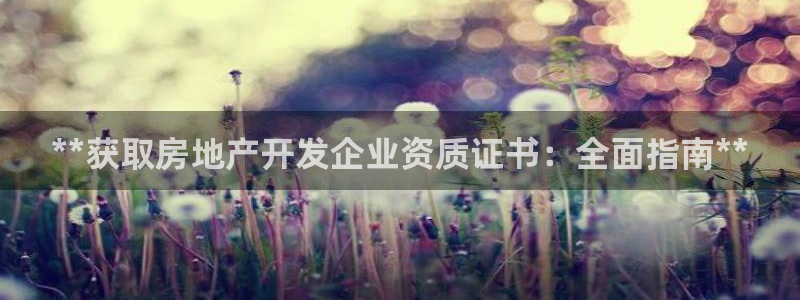 万向娱乐公司官网