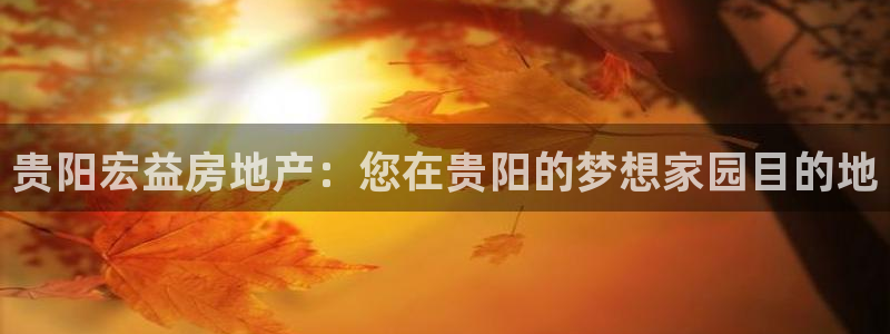 万向娱乐