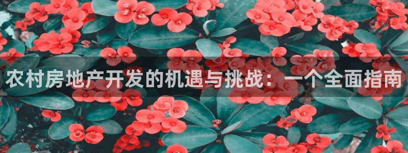万向娱乐的联系方式是什么