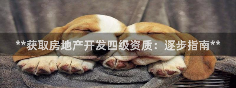 万向娱乐官网