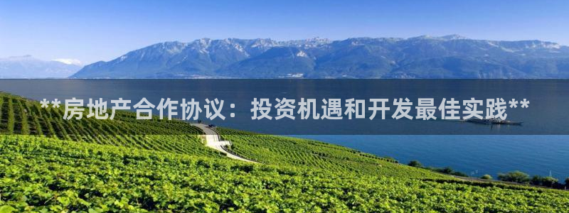 万向娱乐是野鸡台吗