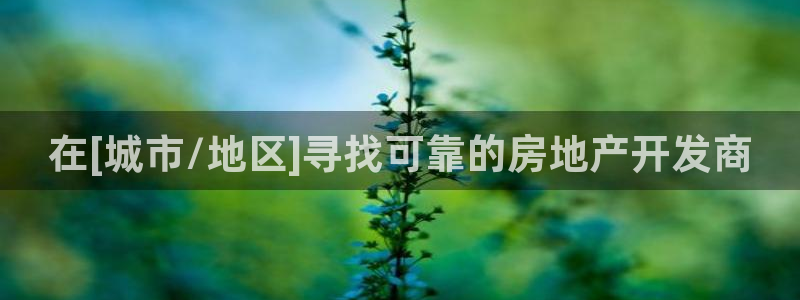 万向娱乐是哪个旗下