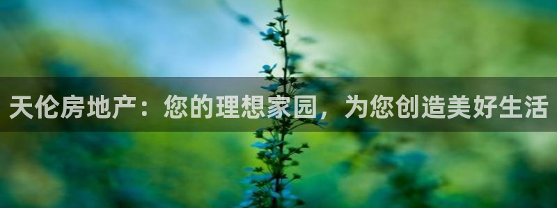 万向娱乐平台代理怎么样