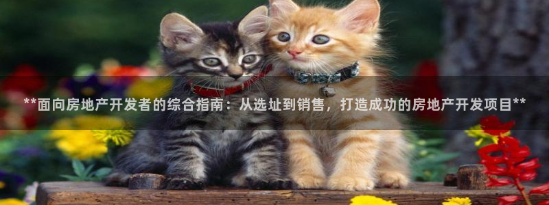 万向娱乐平台下载安装手机版