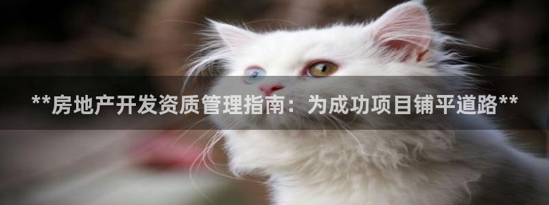 万向娱乐app