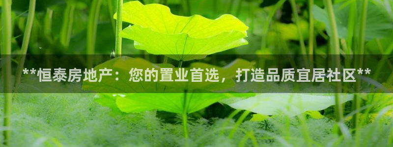 万向娱乐技术