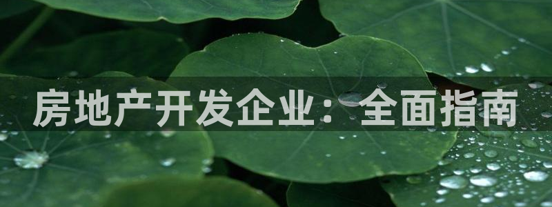万向娱乐官网网址是什么