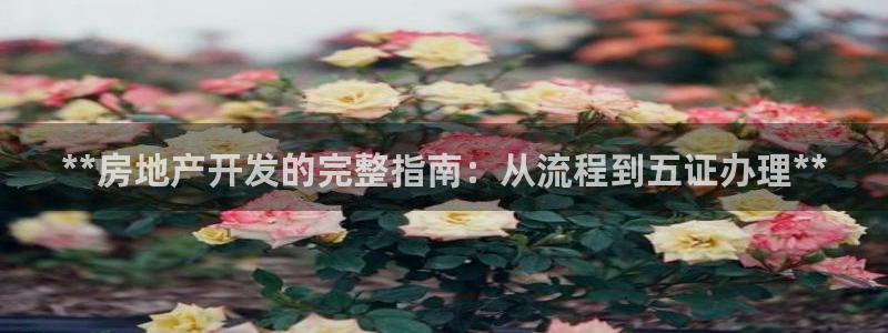 万向娱乐平台代理怎么样
