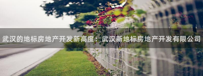 万向娱乐平台代理怎么样可靠吗